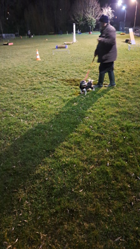 nyssen uploaded   1 year/s ago