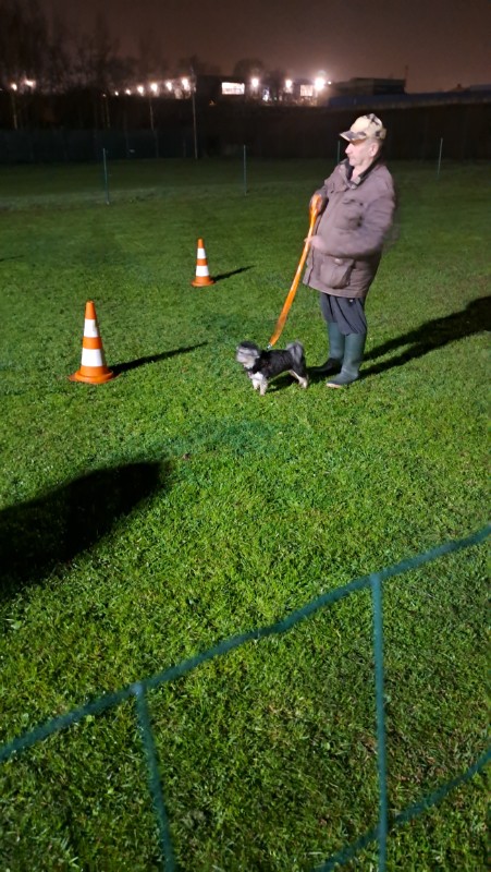 nyssen uploaded   1 year/s ago