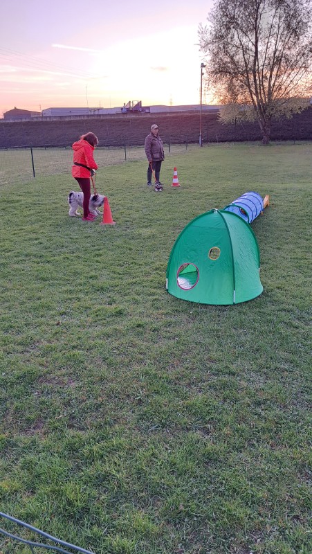 nyssen uploaded   1 year/s ago