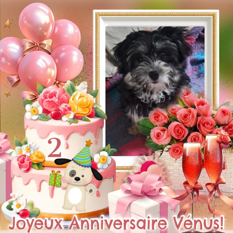 Vénus of the nyssen family