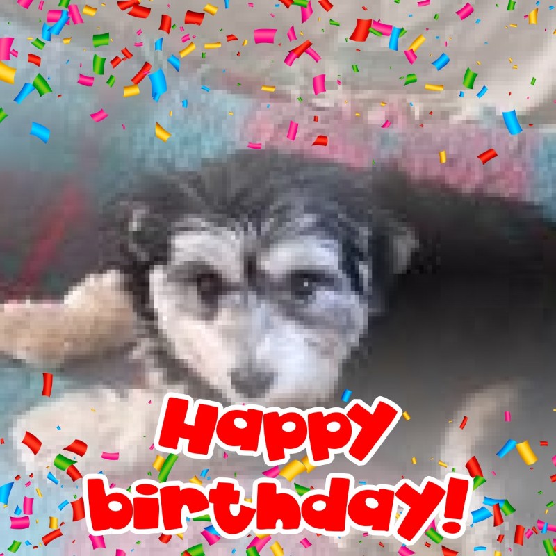 Vénus of the nyssen family