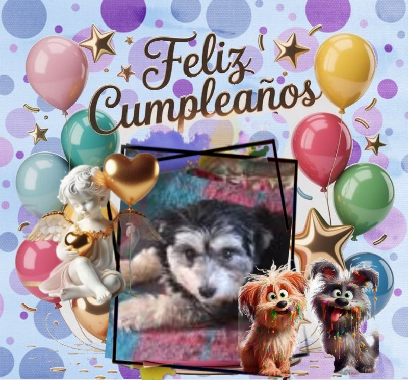 Vénus of the nyssen family