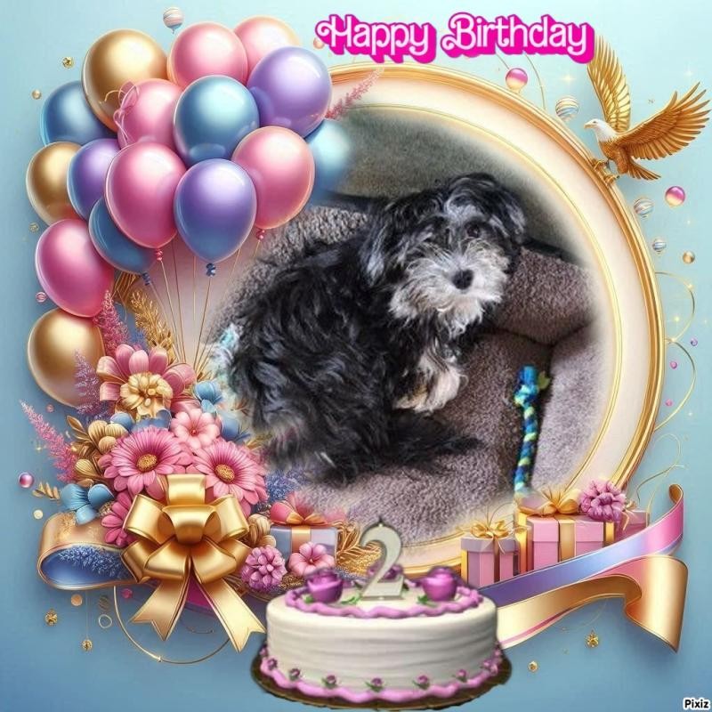 Vénus of the nyssen family