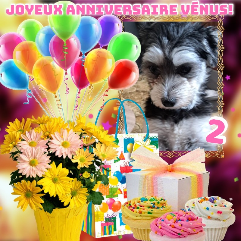 Vénus of the nyssen family