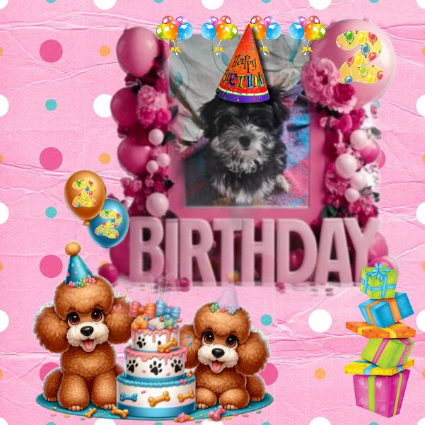 Vénus of the nyssen family