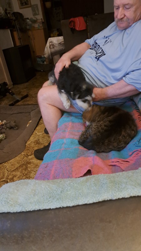 nyssen uploaded   32  day/s  ago