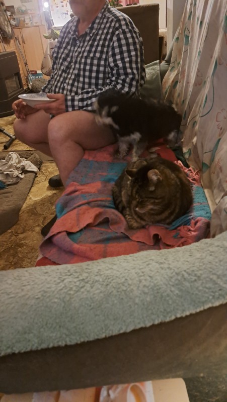 nyssen uploaded   8  day/s  ago