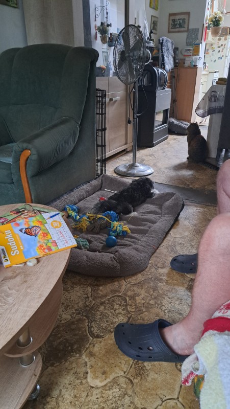 nyssen uploaded   294  day/s  ago