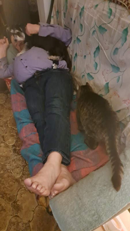 nyssen uploaded   149  day/s  ago