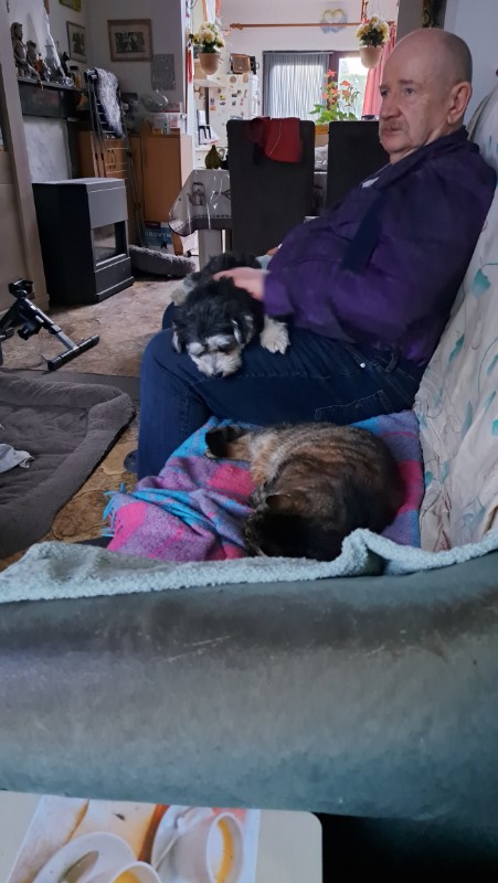 nyssen uploaded   22  day/s  ago