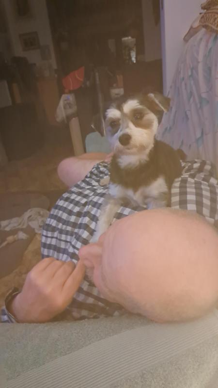 nyssen uploaded   188  day/s  ago