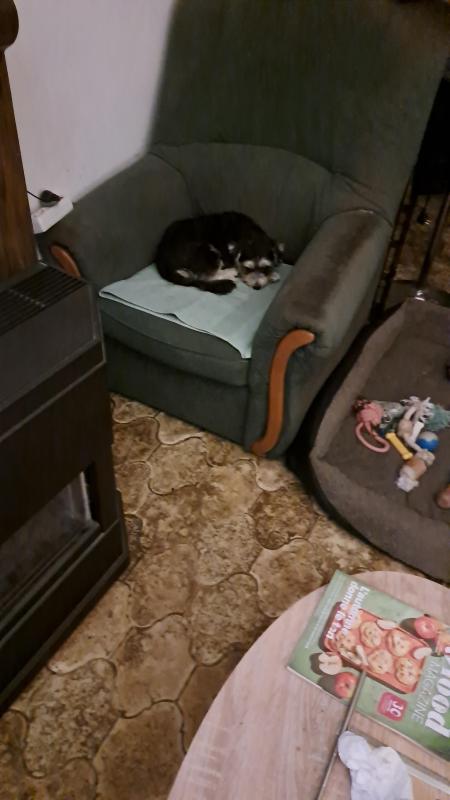 nyssen uploaded   203  day/s  ago