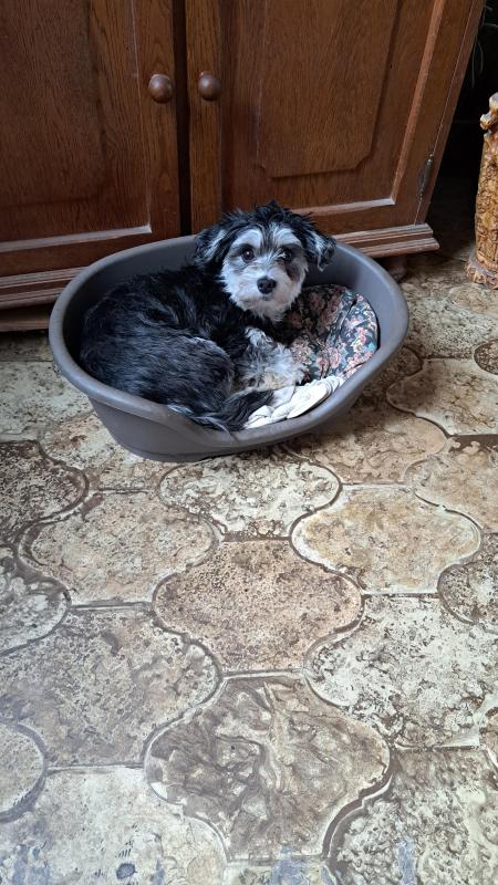 nyssen uploaded   198  day/s  ago