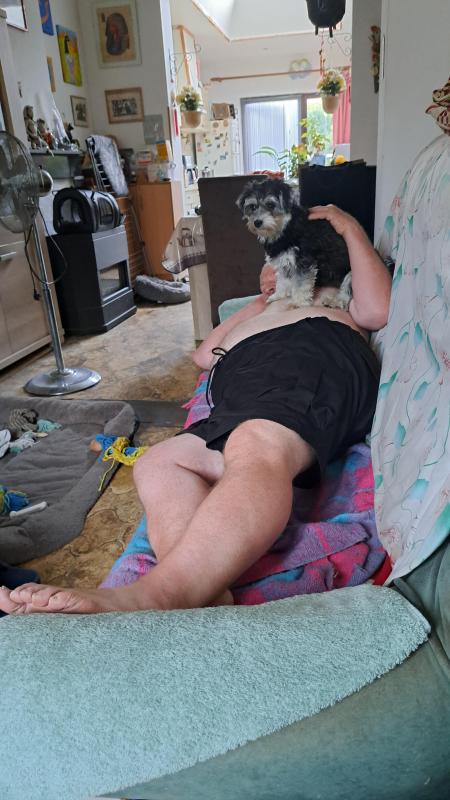 nyssen uploaded   289  day/s  ago