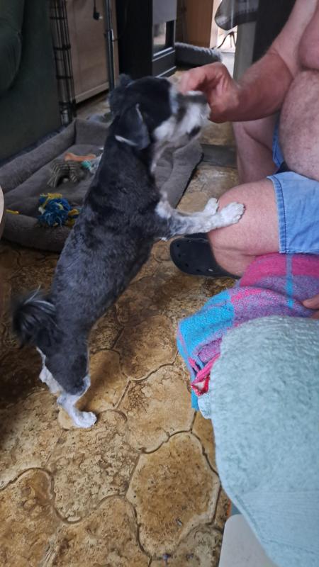 nyssen uploaded   269  day/s  ago