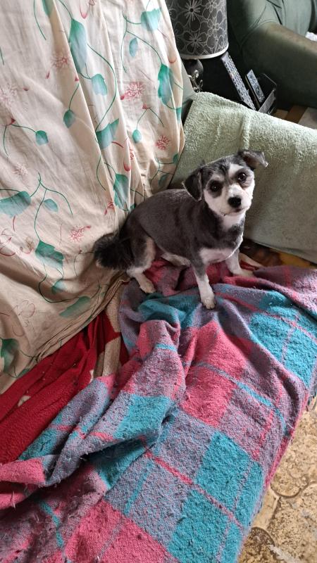 nyssen uploaded   2  day/s  ago