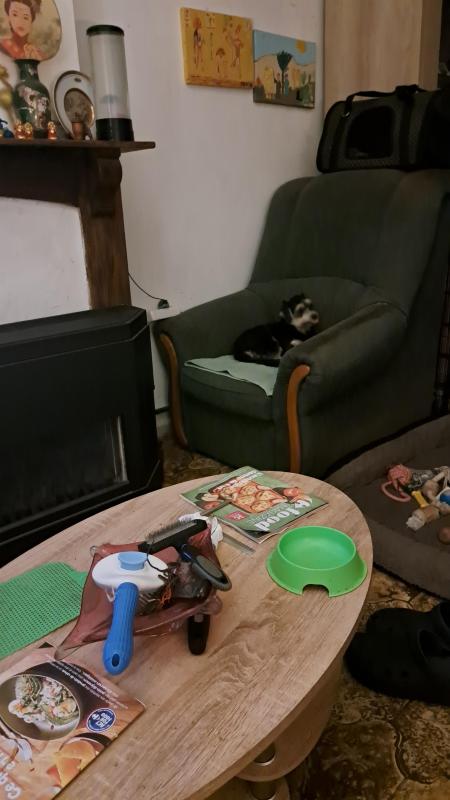 nyssen uploaded   203  day/s  ago