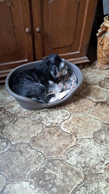 nyssen uploaded   198  day/s  ago