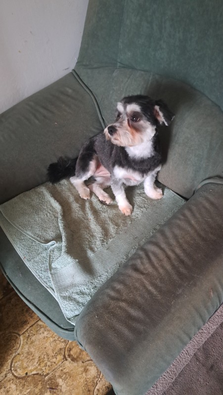 nyssen uploaded   189  day/s  ago