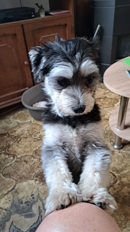 nyssen uploaded   203  day/s  ago