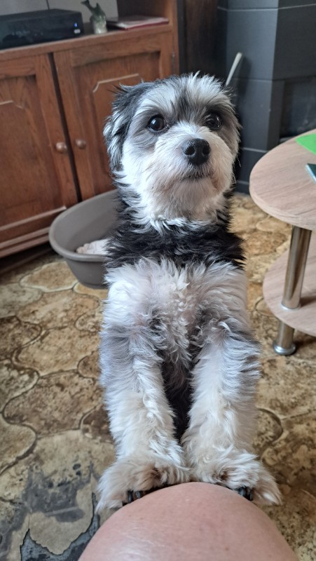 nyssen uploaded   203  day/s  ago