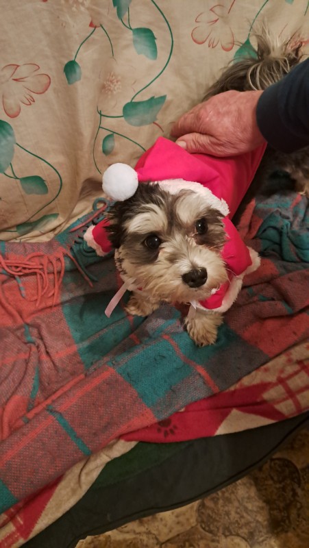 nyssen uploaded   130  day/s  ago