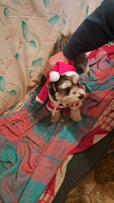 nyssen uploaded   130  day/s  ago