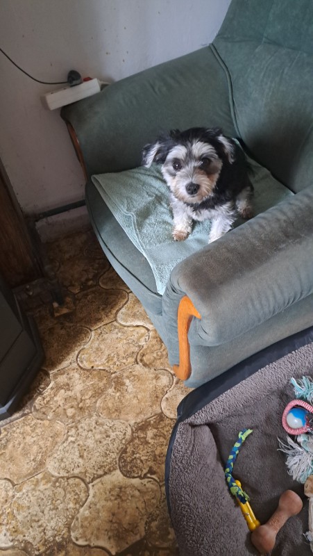 nyssen uploaded   207  day/s  ago