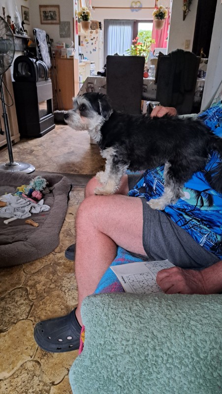 nyssen uploaded   215  day/s  ago