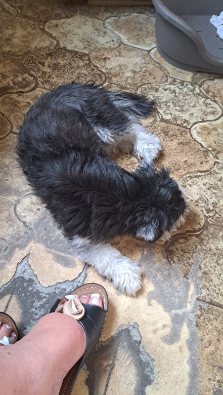 nyssen uploaded   289  day/s  ago