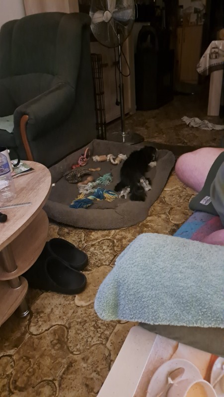 nyssen uploaded   219  day/s  ago