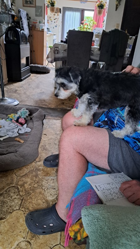 nyssen uploaded   215  day/s  ago