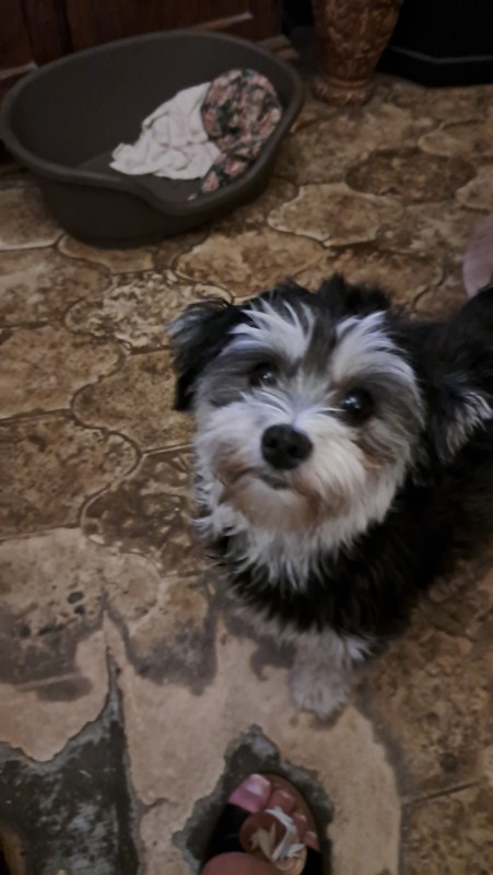 nyssen uploaded   273  day/s  ago