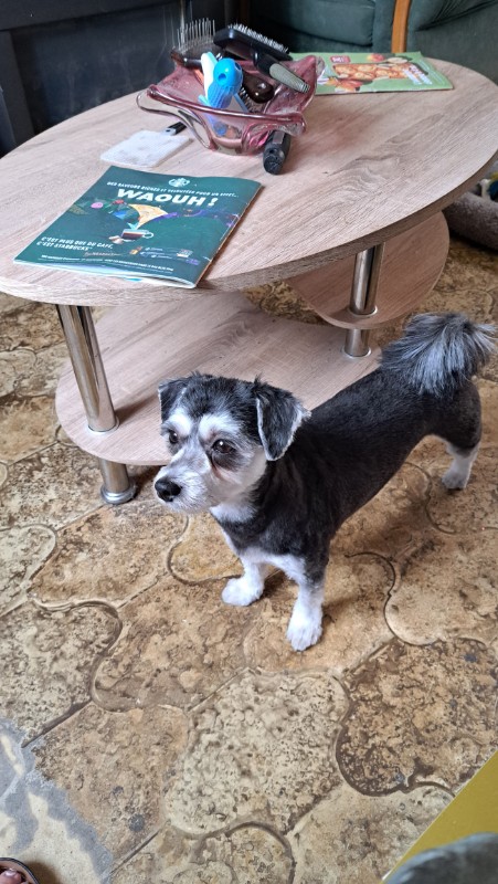 nyssen uploaded   270  day/s  ago