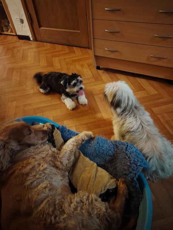 nyssen uploaded   272  day/s  ago