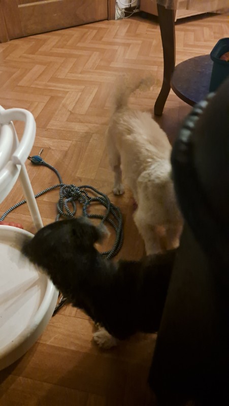 nyssen uploaded   258  day/s  ago