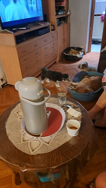 nyssen uploaded   272  day/s  ago