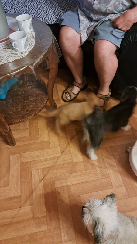 nyssen uploaded   228  day/s  ago