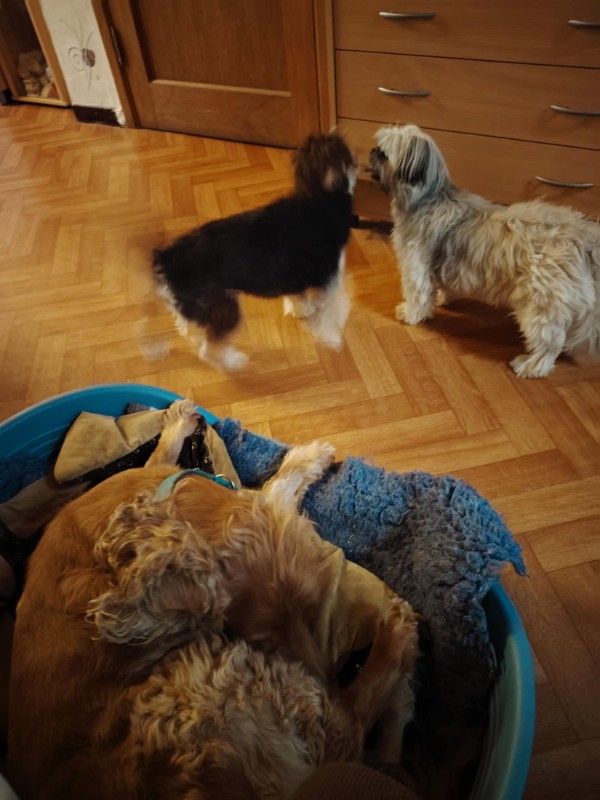 nyssen uploaded   272  day/s  ago