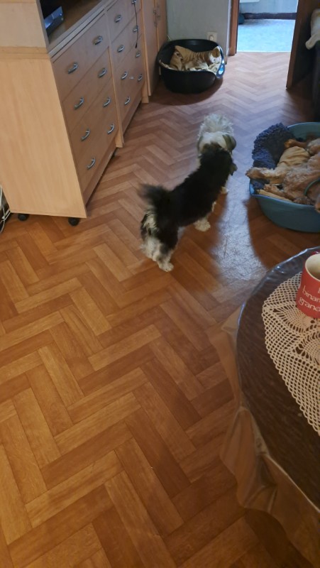 nyssen uploaded   272  day/s  ago