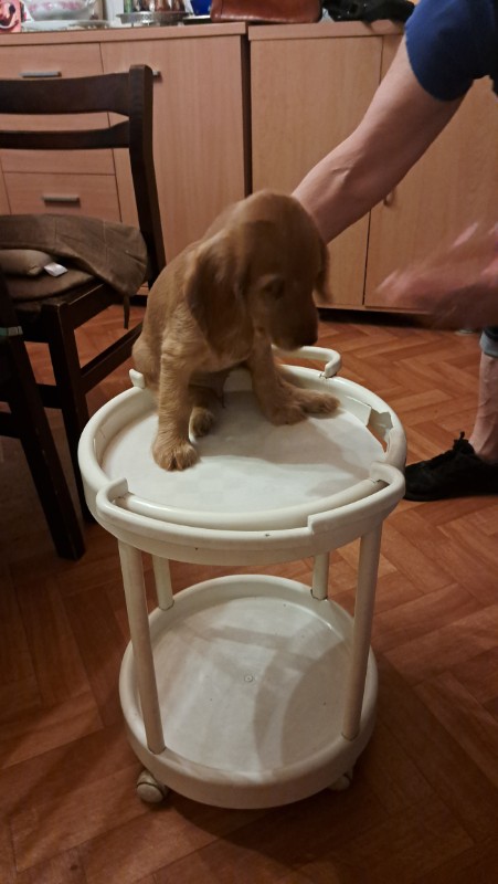 nyssen uploaded   228  day/s  ago