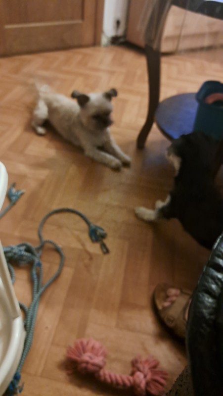 nyssen uploaded   258  day/s  ago