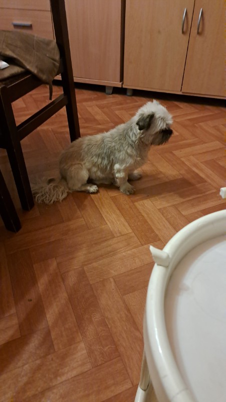 nyssen uploaded   228  day/s  ago