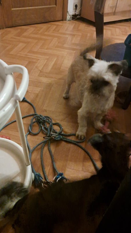 nyssen uploaded   258  day/s  ago