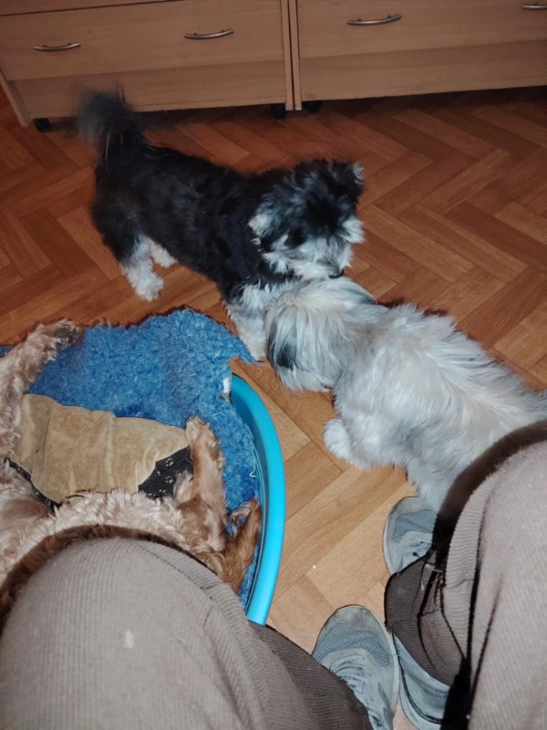 nyssen uploaded   272  day/s  ago