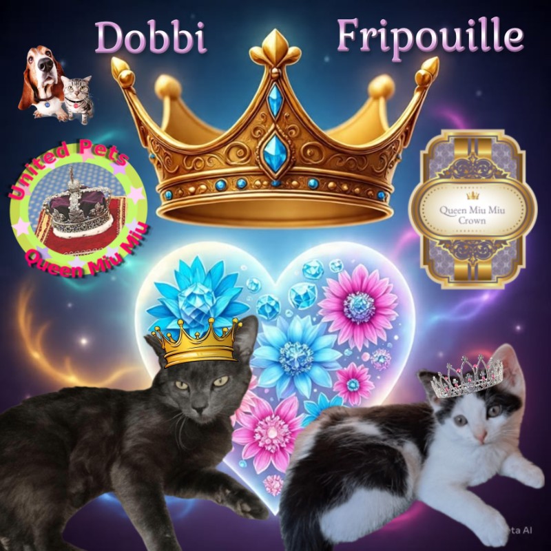 Fripouille of the nyssen family