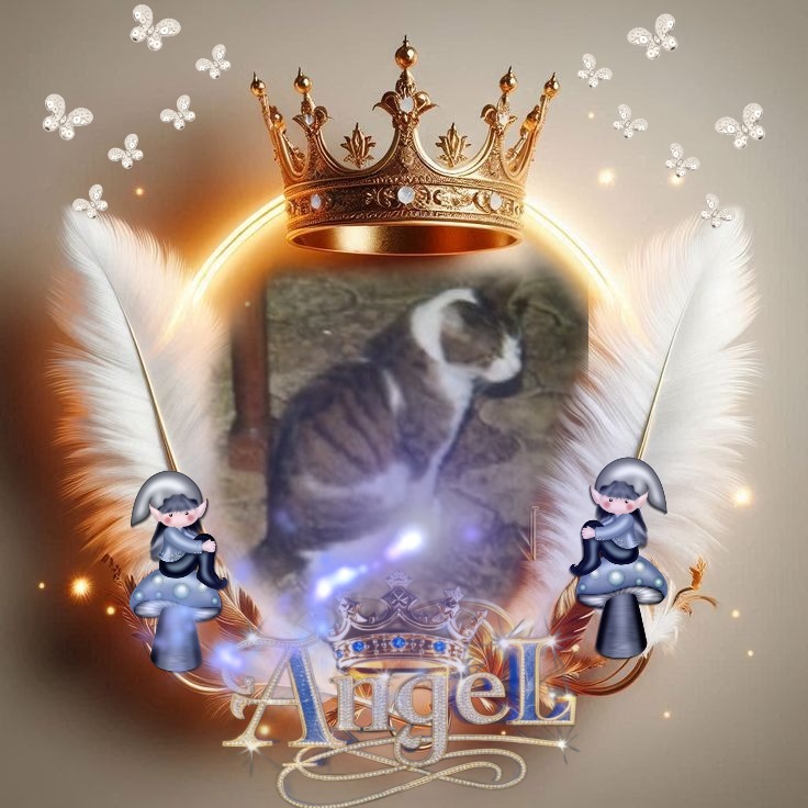 nyssen uploaded   1 year/s ago