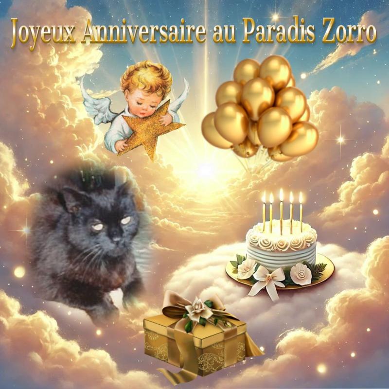 Zorro of the nyssen family