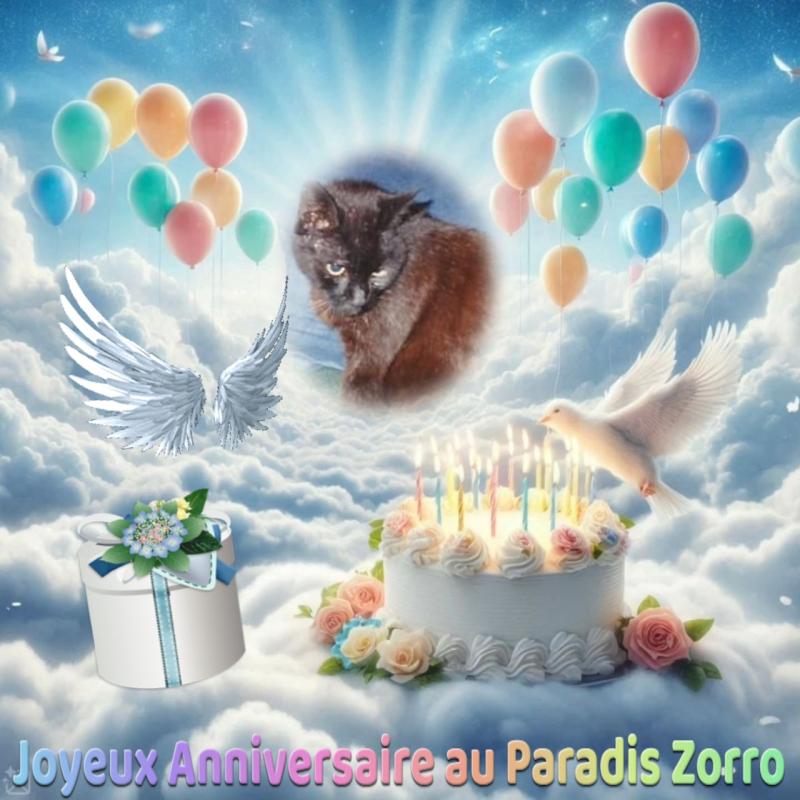 Zorro of the nyssen family