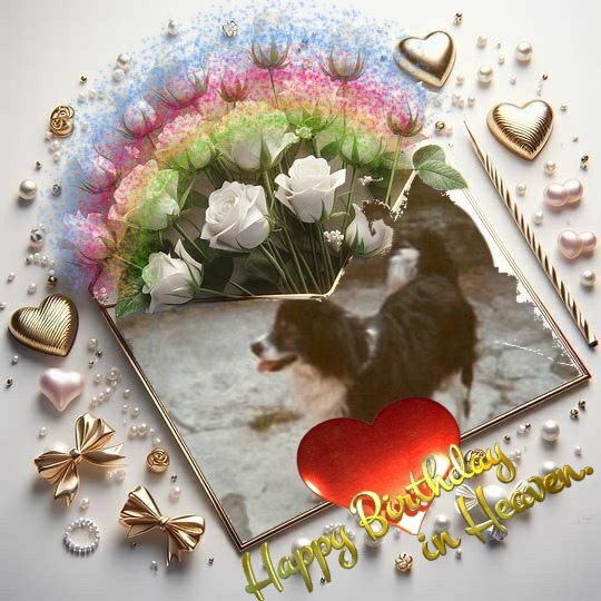 Freezia of the nyssen family